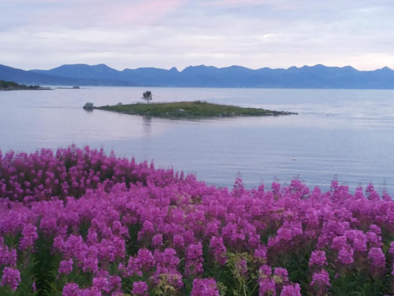 Prima Lofoten Myrland Exterior foto